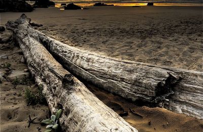 _nik7763__2__3_tonemapped