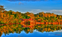 Dauisfinalhdr