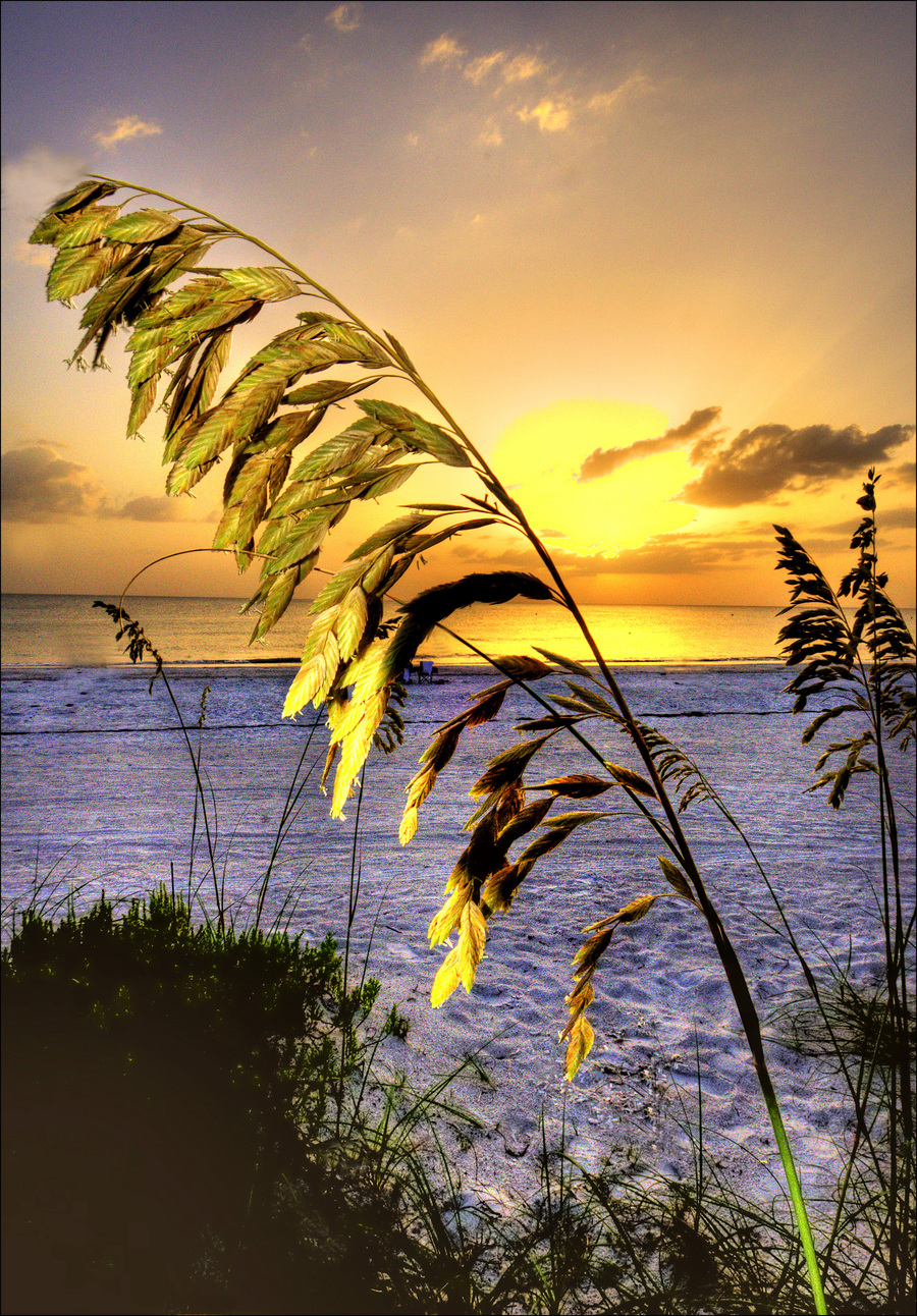 _dsc8956___tonemapped