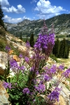 _dsc4614_hdr_2