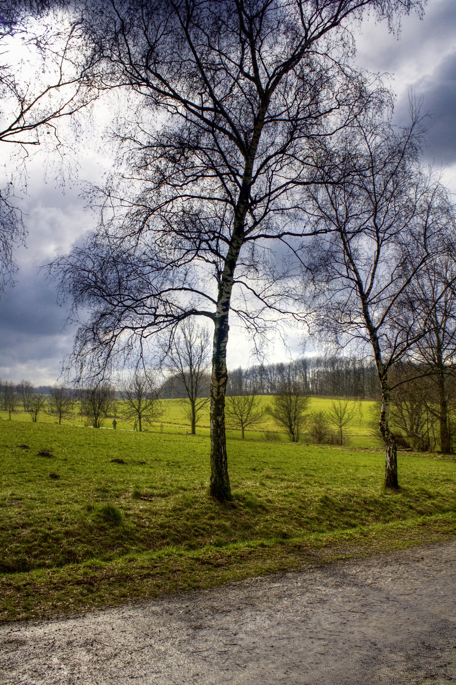Img_1886_hdr